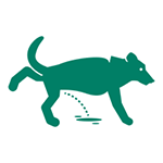 Dog peeing